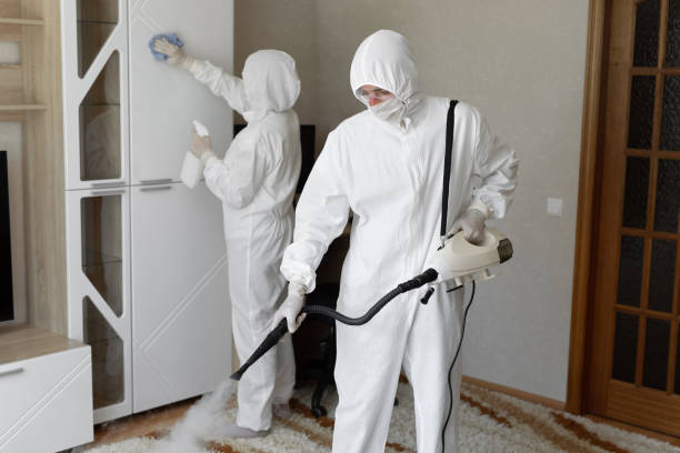 Best Attic Mold Removal  in New Castle, DE