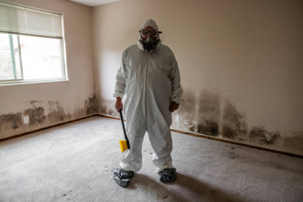 Mold Removal and Inspection in New Castle, DE